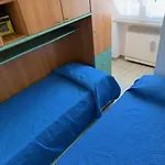 Viola -