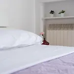 Viola - *