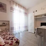 Viola -