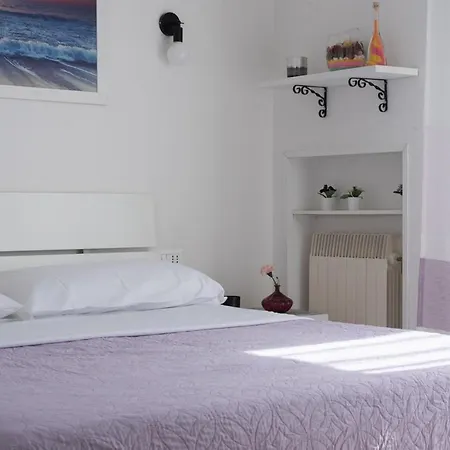 Viola - Lido Adriano