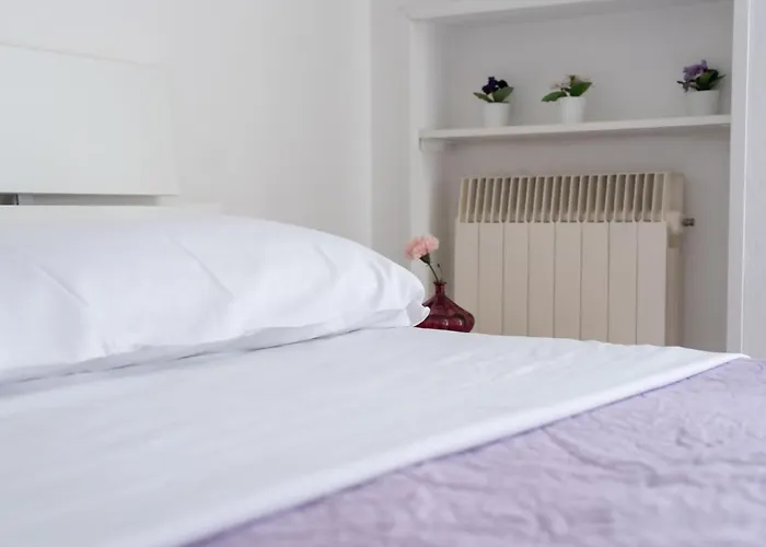 Viola - Lido Adriano