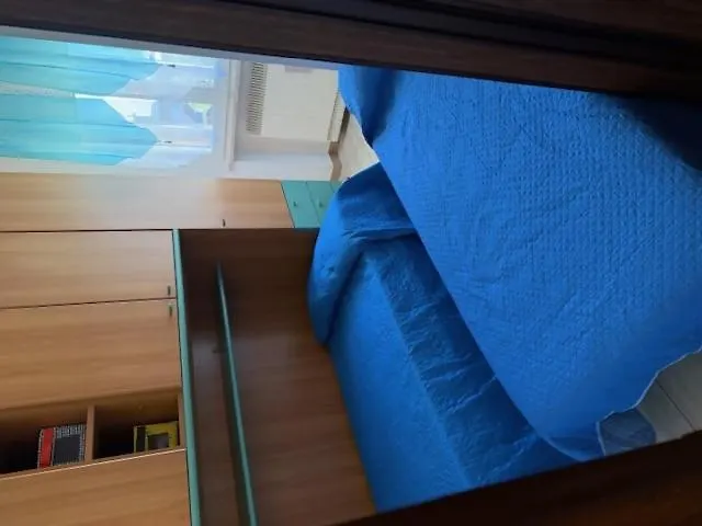 Semesterbostad Viola - *